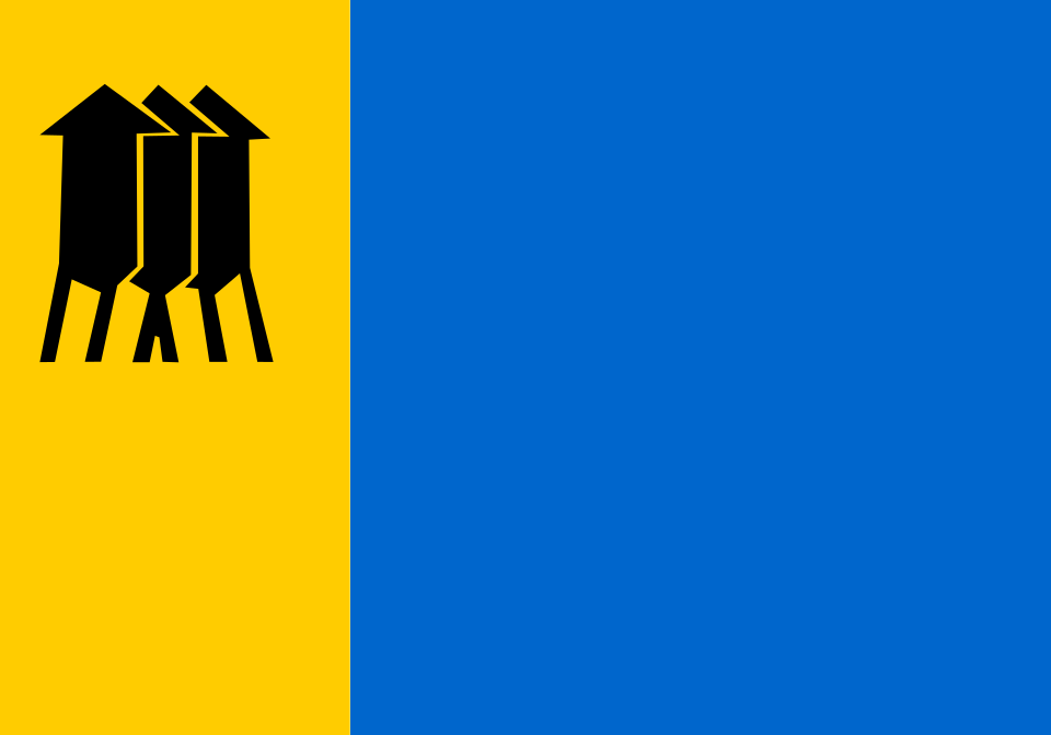 Bandeira Porto Velho